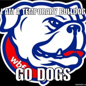 Temporary Bulldog